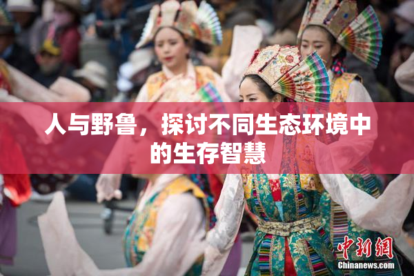 人与野鲁，探讨不同生态环境中的生存智慧
