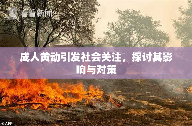 成人黄动引发社会关注，探讨其影响与对策