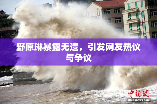 野原琳暴露无遗，引发网友热议与争议