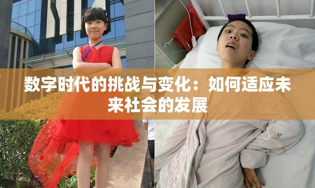 数字时代的挑战与变化：如何适应未来社会的发展
