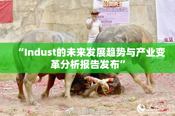 “Indust的未来发展趋势与产业变革分析报告发布”