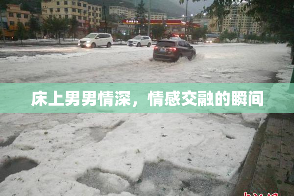 床上男男情深，情感交融的瞬间