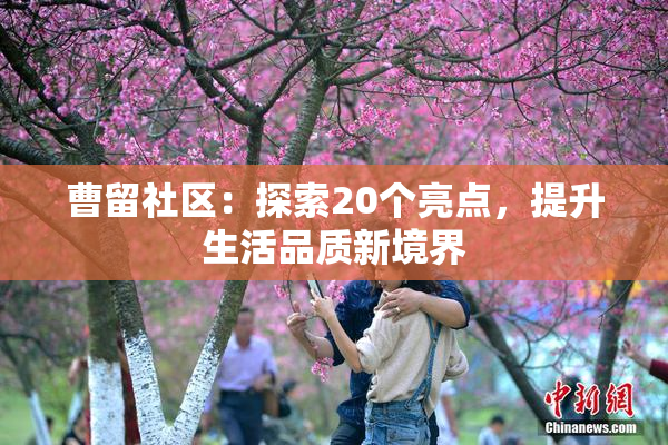 曹留社区：探索20个亮点，提升生活品质新境界