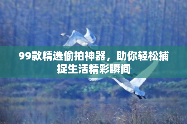 99款精选偷拍神器，助你轻松捕捉生活精彩瞬间