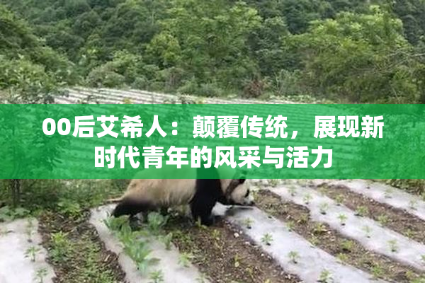 00后艾希人：颠覆传统，展现新时代青年的风采与活力