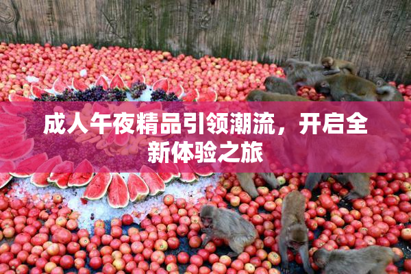 成人午夜精品引领潮流，开启全新体验之旅