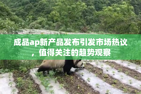 成品ap新产品发布引发市场热议，值得关注的趋势观察