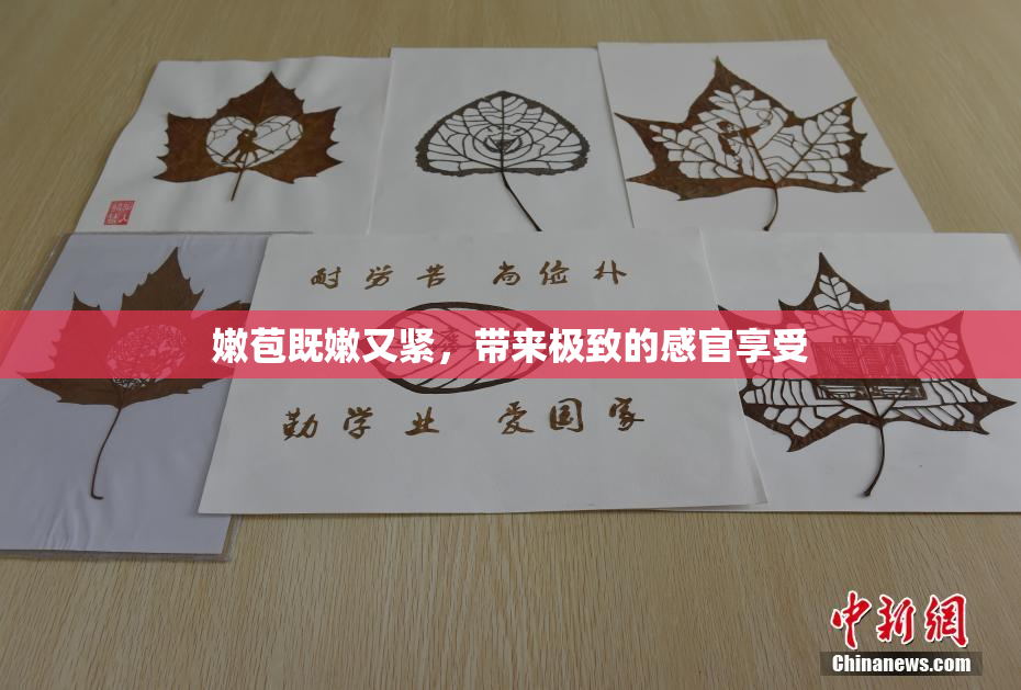嫩苞既嫩又紧，带来极致的感官享受