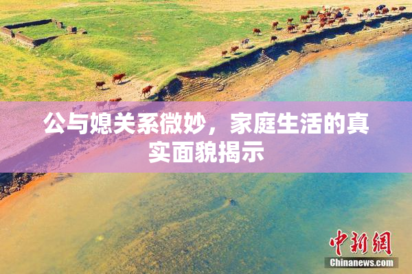 公与媳关系微妙，家庭生活的真实面貌揭示