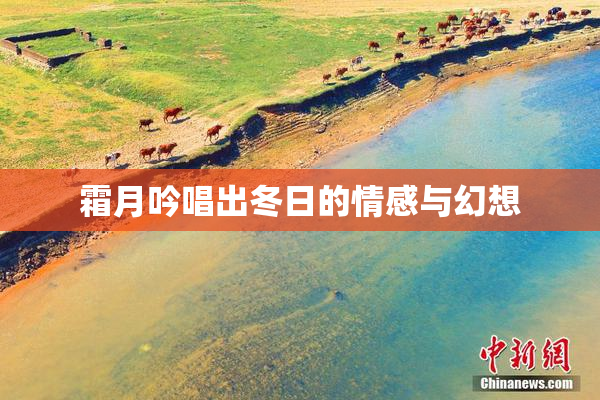 霜月吟唱出冬日的情感与幻想
