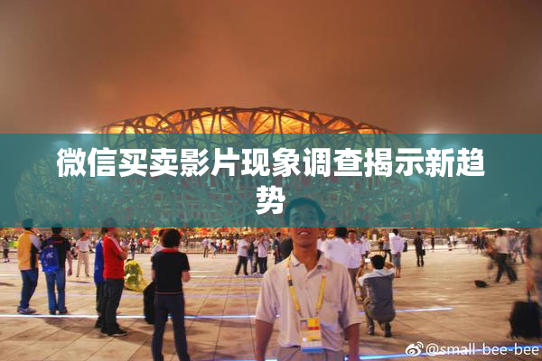 微信买卖影片现象调查揭示新趋势