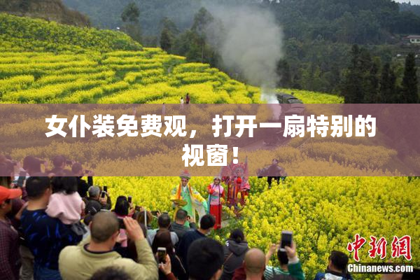 女仆装免费观，打开一扇特别的视窗！