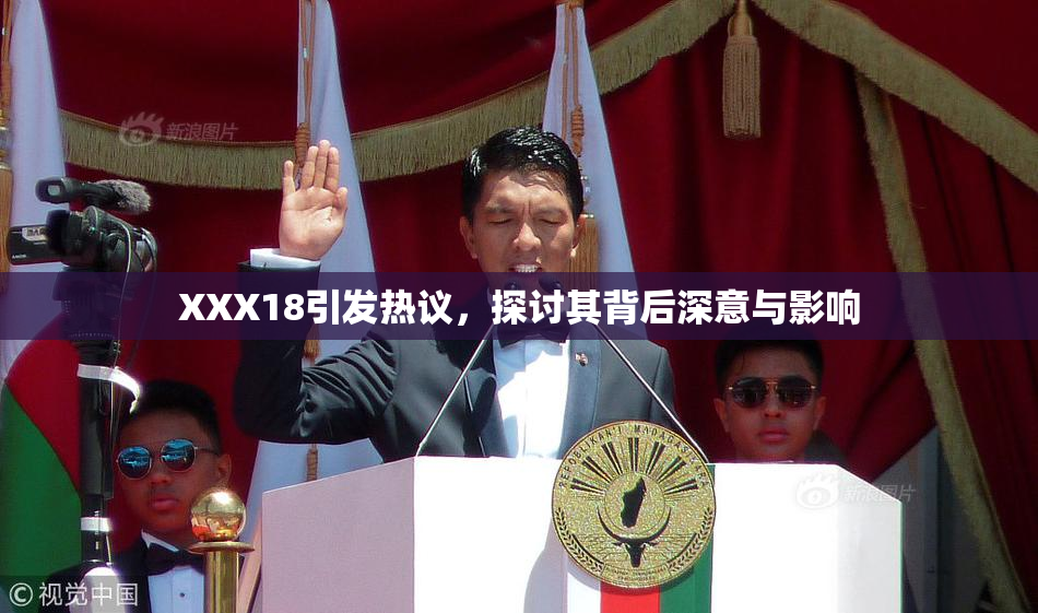 XXX18引发热议，探讨其背后深意与影响