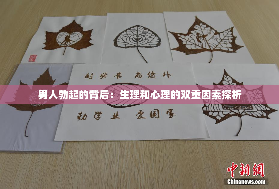 男人勃起的背后：生理和心理的双重因素探析