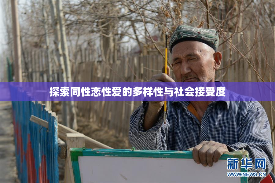 探索同性恋性爱的多样性与社会接受度