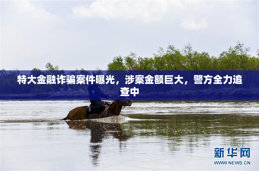 特大金融诈骗案件曝光，涉案金额巨大，警方全力追查中