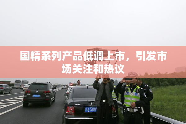 国精系列产品低调上市，引发市场关注和热议