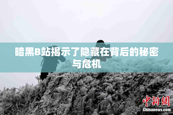 暗黑B站揭示了隐藏在背后的秘密与危机