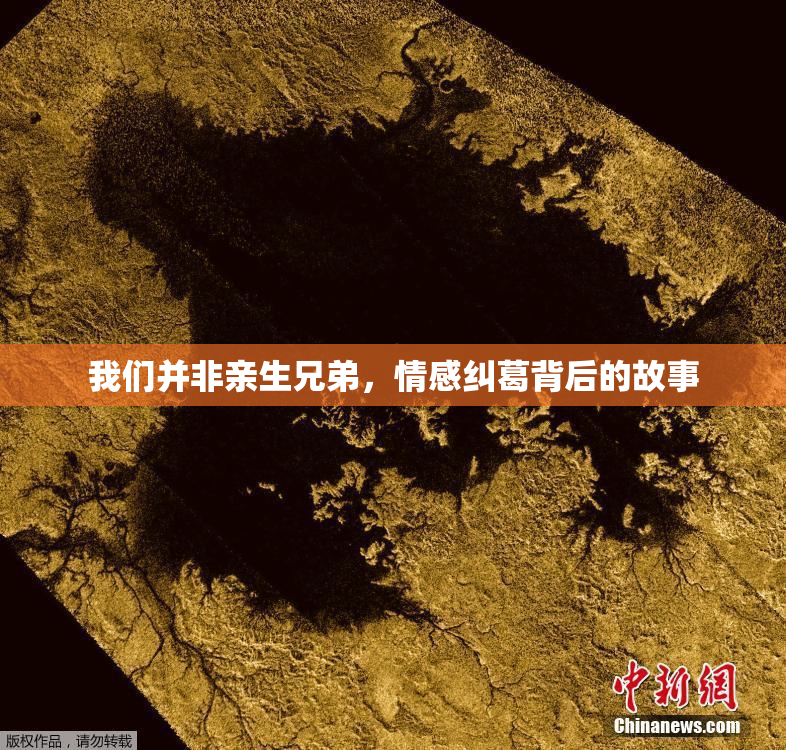 我们并非亲生兄弟，情感纠葛背后的故事