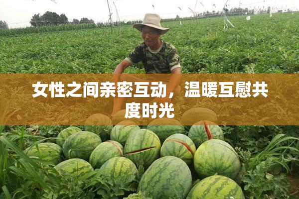 女性之间亲密互动，温暖互慰共度时光