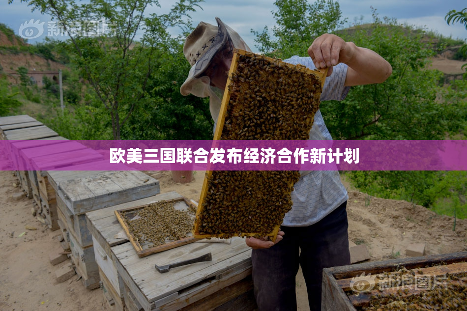 欧美三国联合发布经济合作新计划