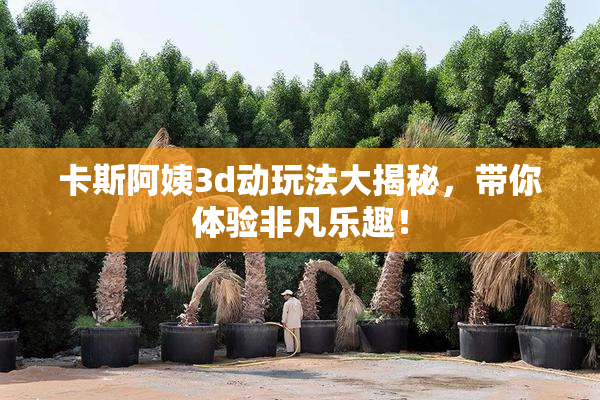 卡斯阿姨3d动玩法大揭秘，带你体验非凡乐趣！