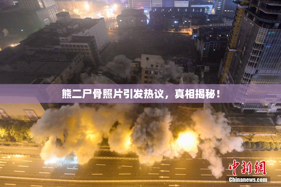 熊二尸骨照片引发热议，真相揭秘！