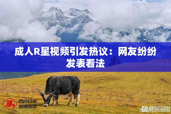 成人R星视频引发热议：网友纷纷发表看法
