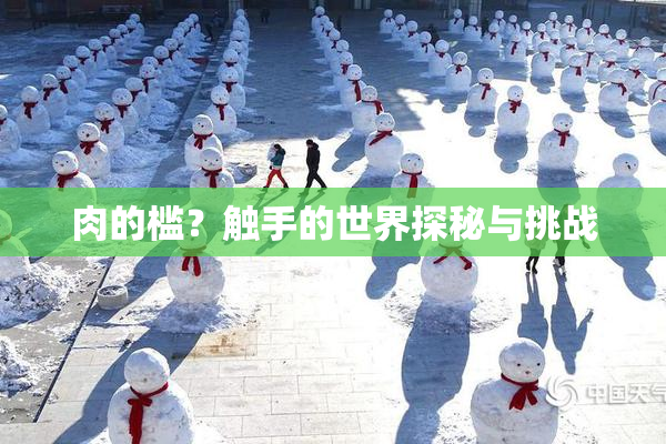 肉的槛？触手的世界探秘与挑战