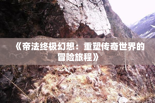 《帝法终极幻想：重塑传奇世界的冒险旅程》