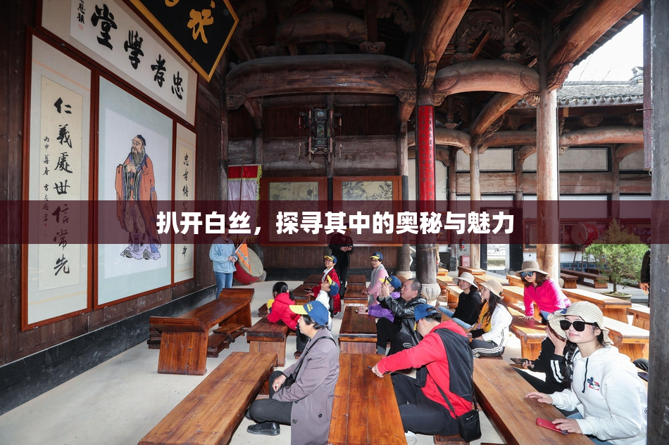 扒开白丝，探寻其中的奥秘与魅力