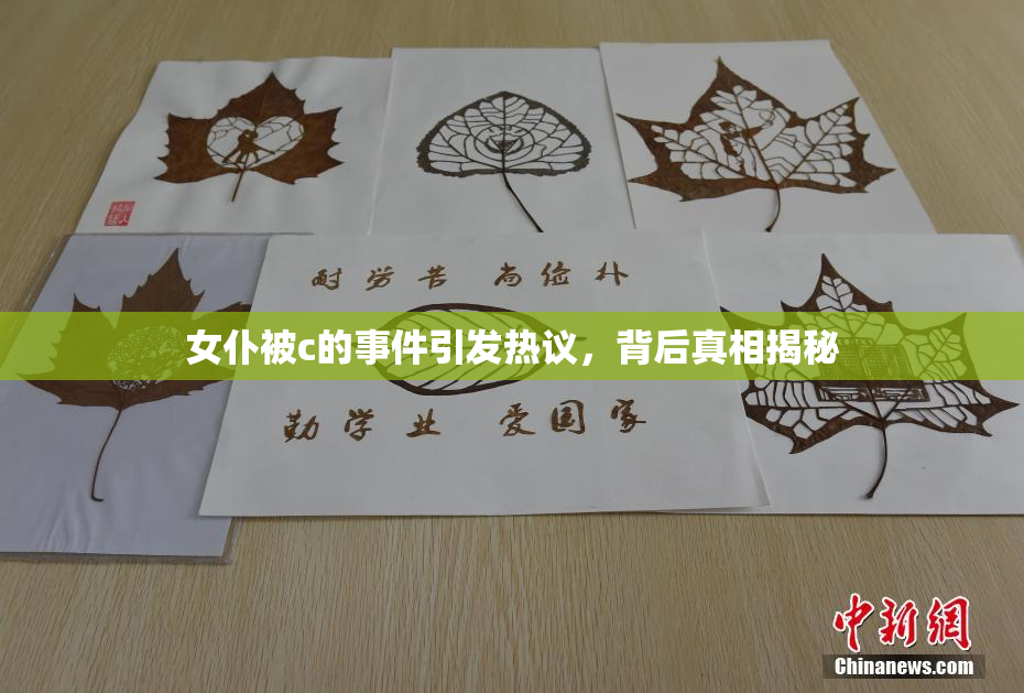 女仆被c的事件引发热议，背后真相揭秘