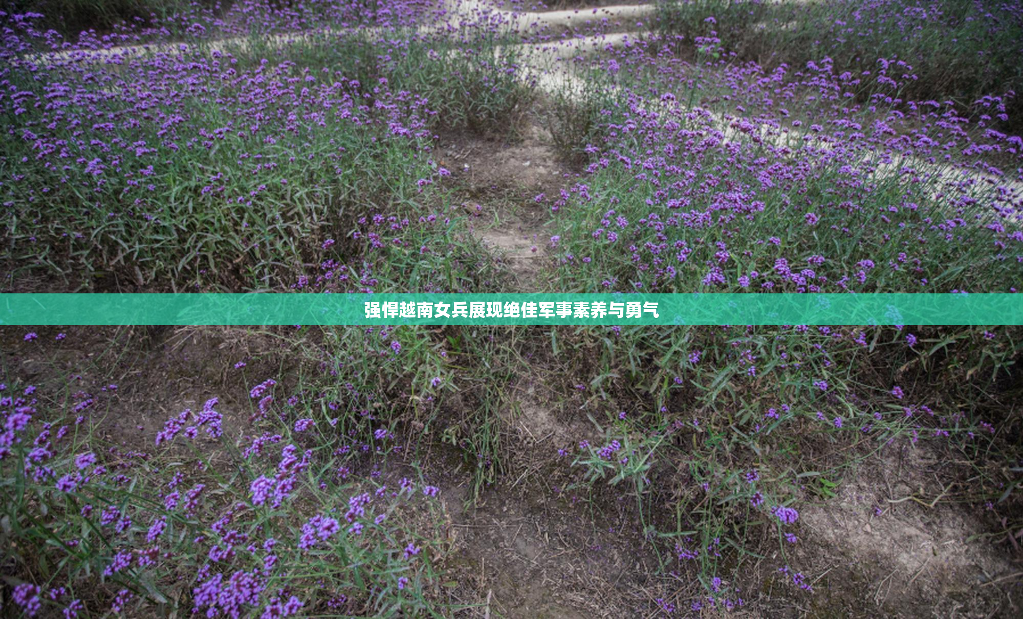强悍越南女兵展现绝佳军事素养与勇气