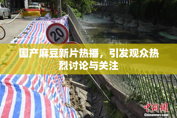 国产麻豆新片热播，引发观众热烈讨论与关注