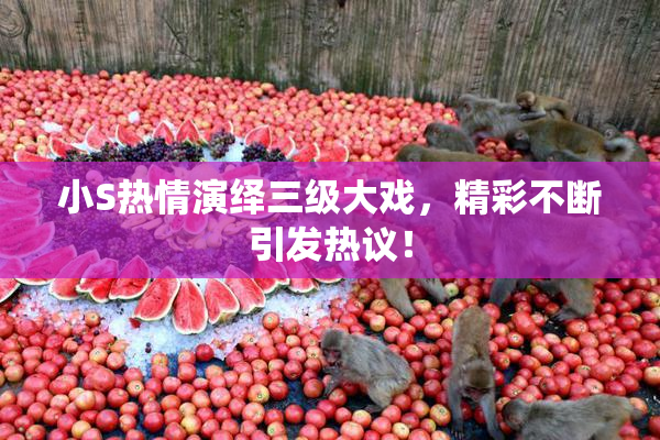 小S热情演绎三级大戏，精彩不断引发热议！