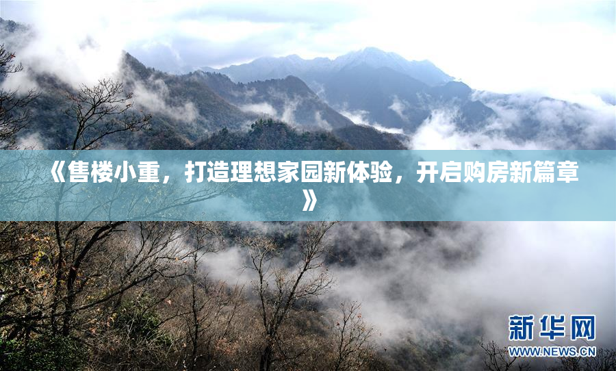 《售楼小重，打造理想家园新体验，开启购房新篇章》