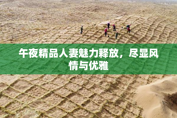 午夜精品人妻魅力释放，尽显风情与优雅