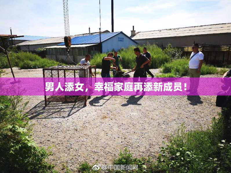 男人添女，幸福家庭再添新成员！