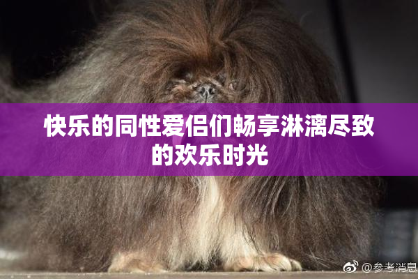 快乐的同性爱侣们畅享淋漓尽致的欢乐时光