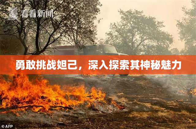 勇敢挑战妲己，深入探索其神秘魅力