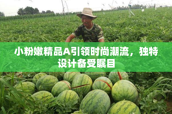 小粉嫩精品A引领时尚潮流，独特设计备受瞩目