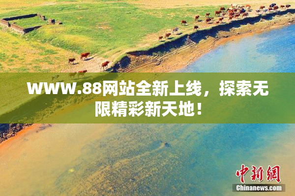 WWW.88网站全新上线，探索无限精彩新天地！