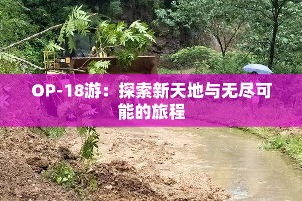 OP-18游：探索新天地与无尽可能的旅程