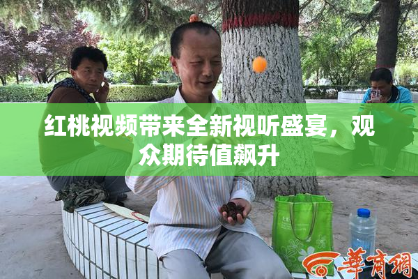 红桃视频带来全新视听盛宴，观众期待值飙升