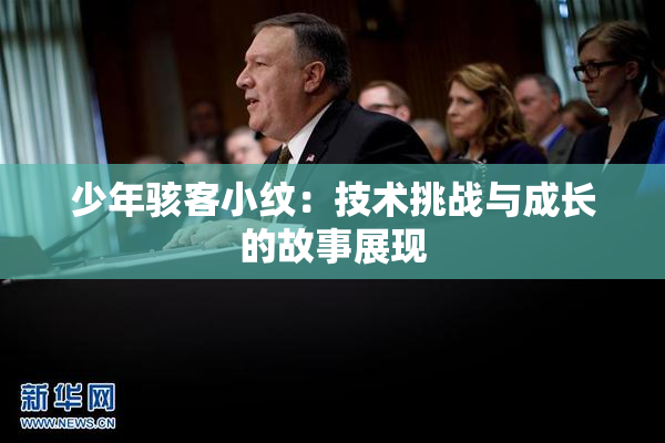 少年骇客小纹：技术挑战与成长的故事展现