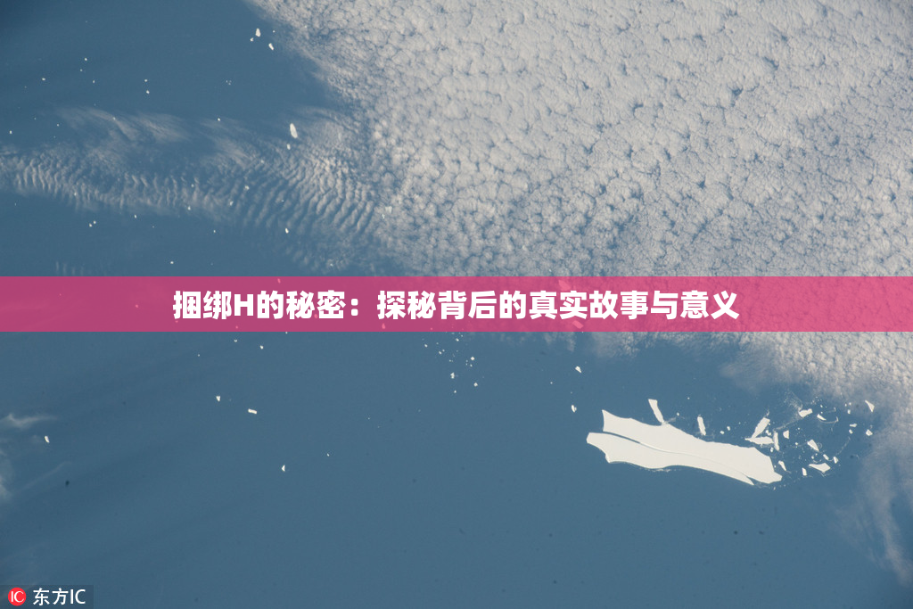 捆绑H的秘密：探秘背后的真实故事与意义