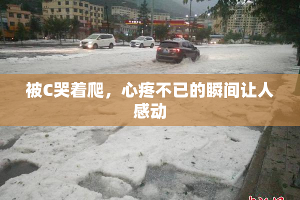 被C哭着爬，心疼不已的瞬间让人感动