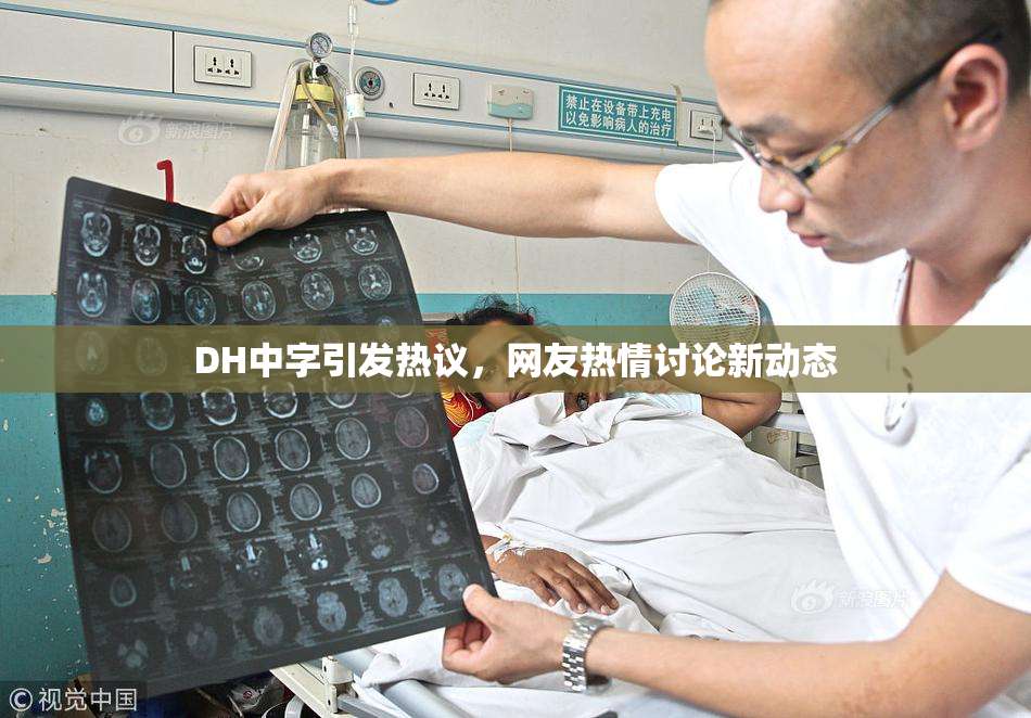 DH中字引发热议，网友热情讨论新动态