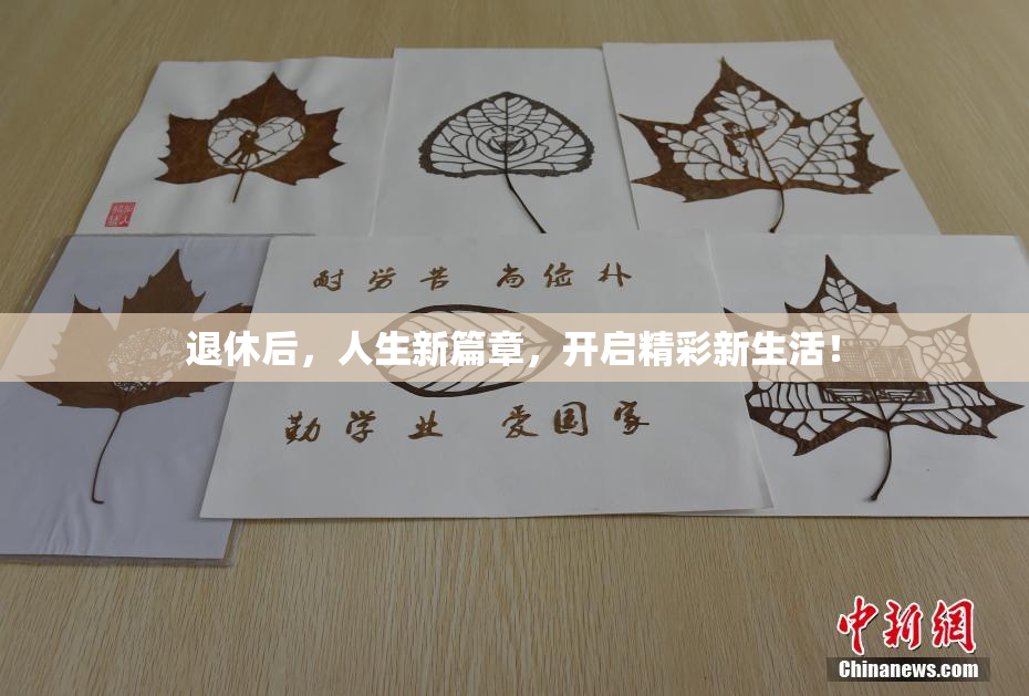 退休后，人生新篇章，开启精彩新生活！