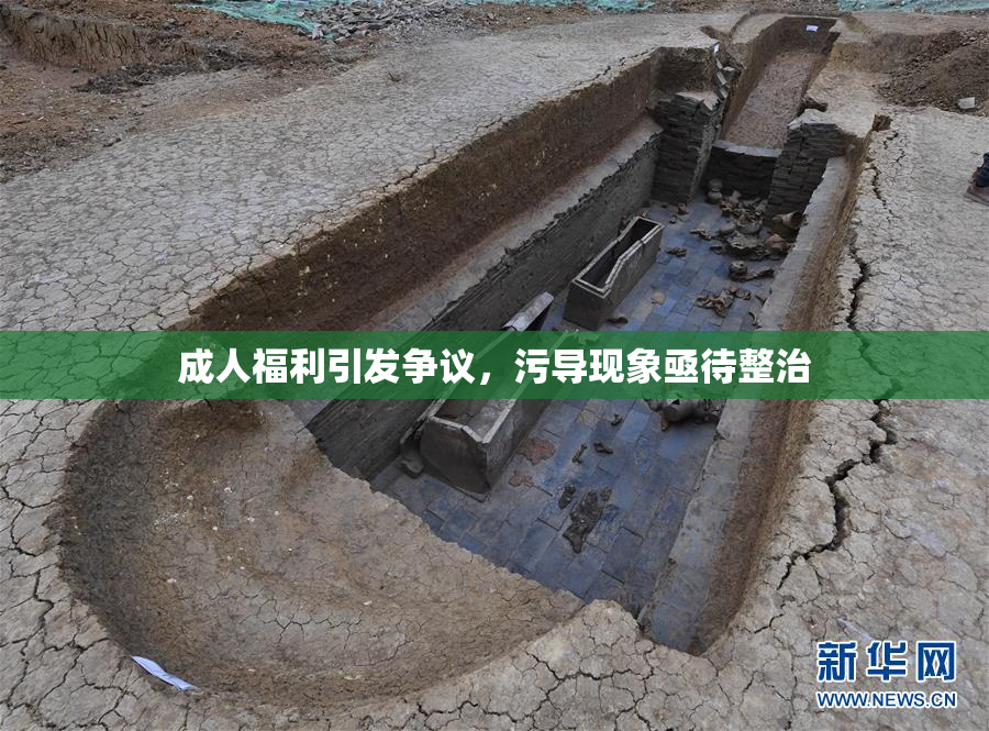 成人福利引发争议，污导现象亟待整治